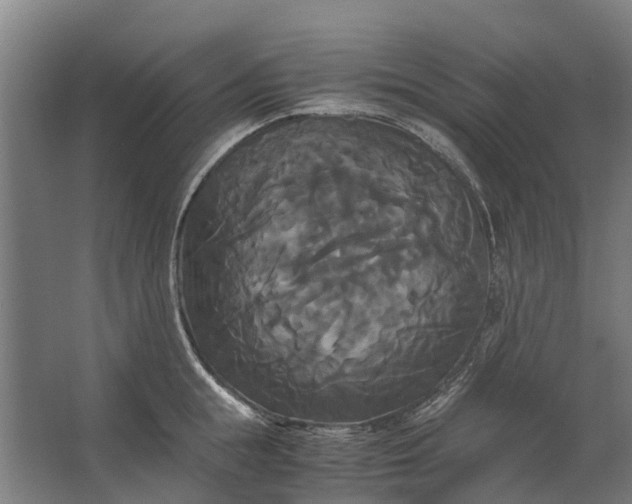 X0000062620855200601041003