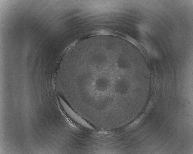 X0000062620857200601041003