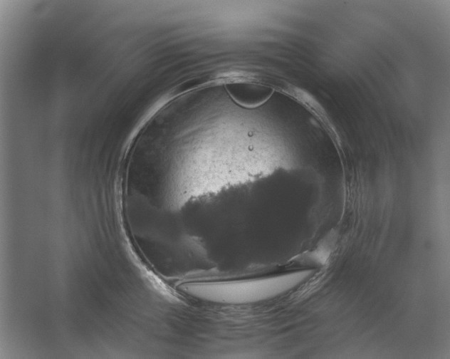 X0000062620859200601041003