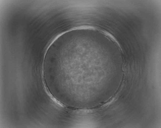 X0000062620860200601041003