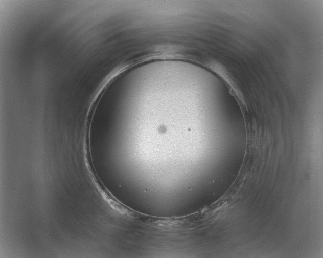 X0000062620861200601041003