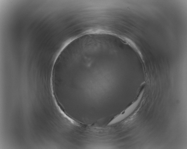 X0000062620863200601041003