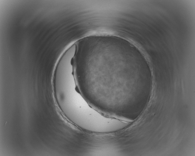 X0000062620864200601041003