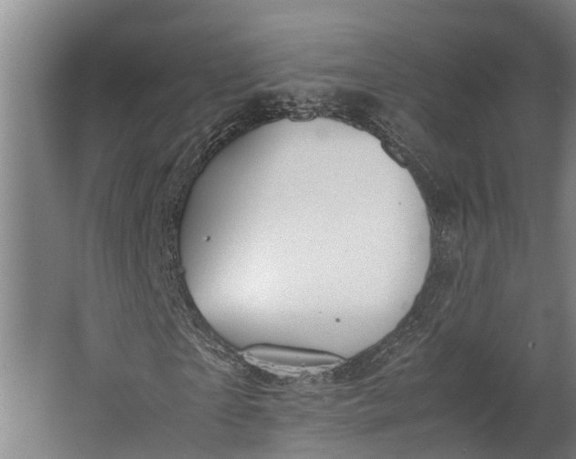 X0000062620865200601041003