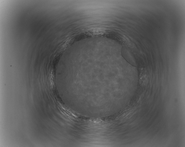 X0000062620866200601041003