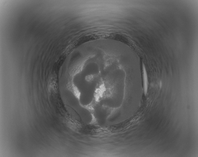 X0000062620867200601041003