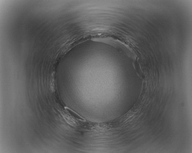 X0000062620868200601041002