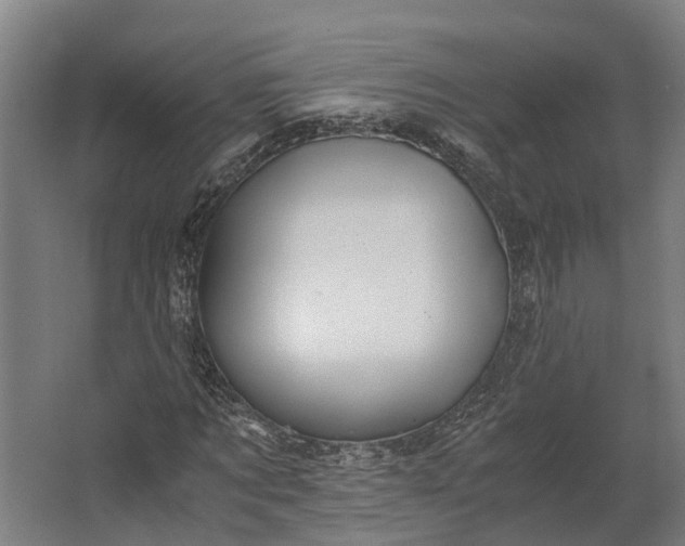 X0000062620869200601041002