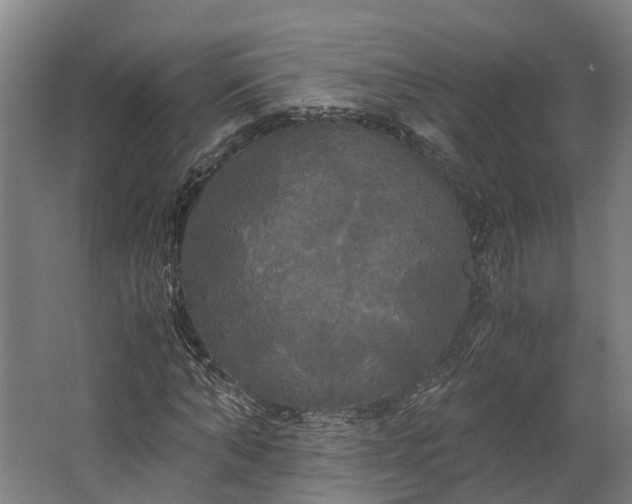 X0000062620870200601041002