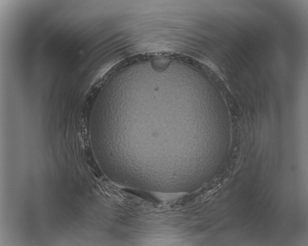 X0000062620871200601041002