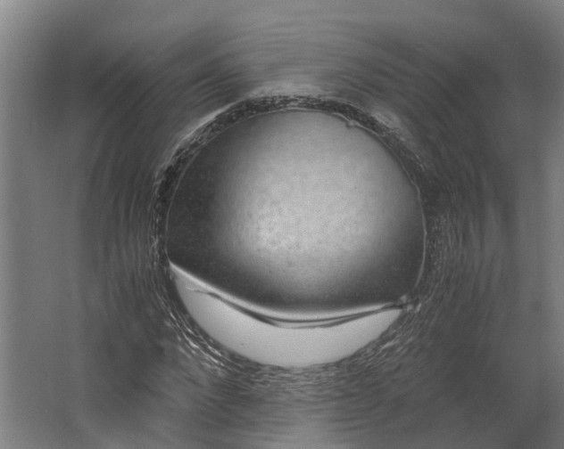 X0000062620872200601041002