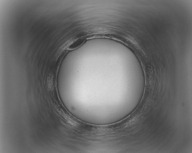 X0000062620873200601041002