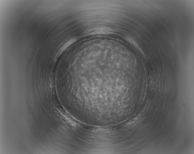 X0000062620874200601041002