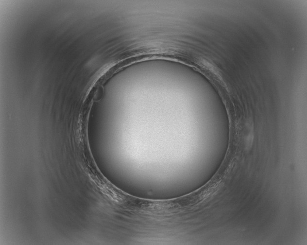 X0000062620875200601041002