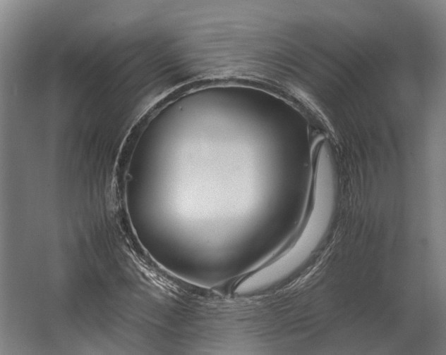 X0000062620876200601041002