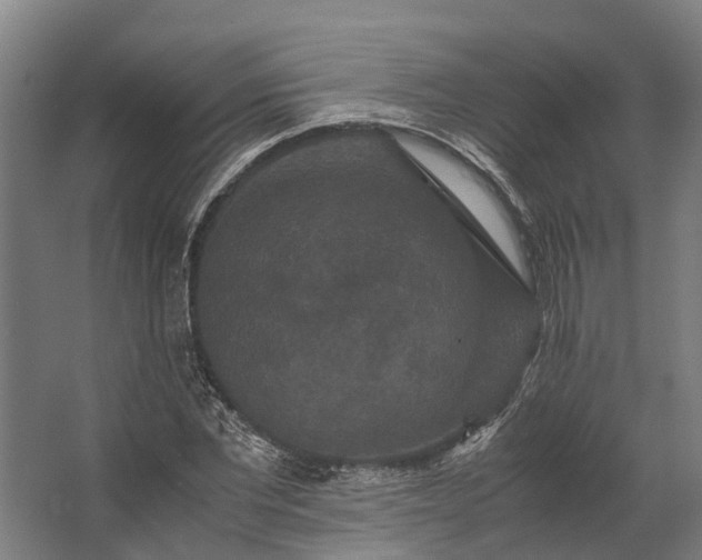 X0000062620877200601041002