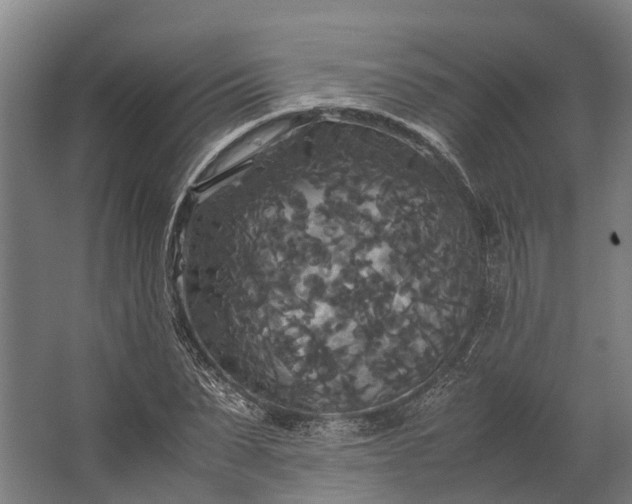 X0000062620879200601041002