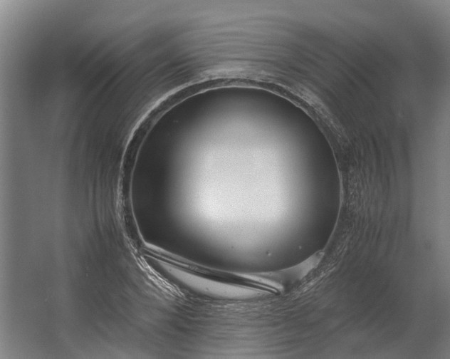 X0000062620880200601041002