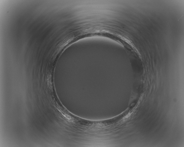 X0000062620881200601041002