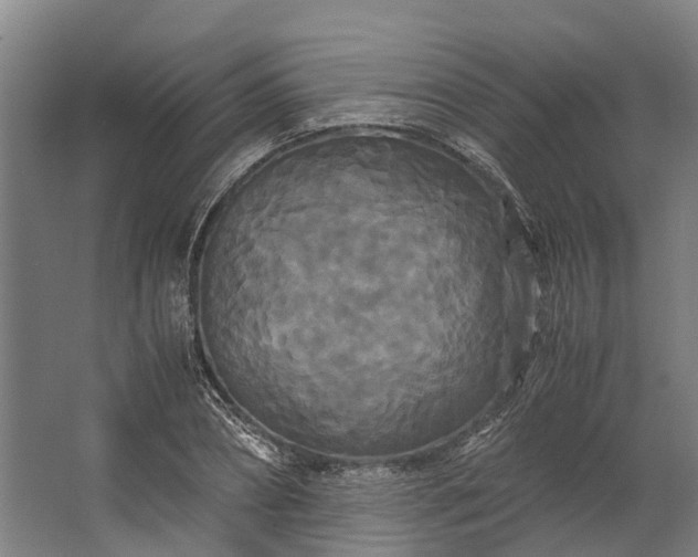 X0000062620882200601041002