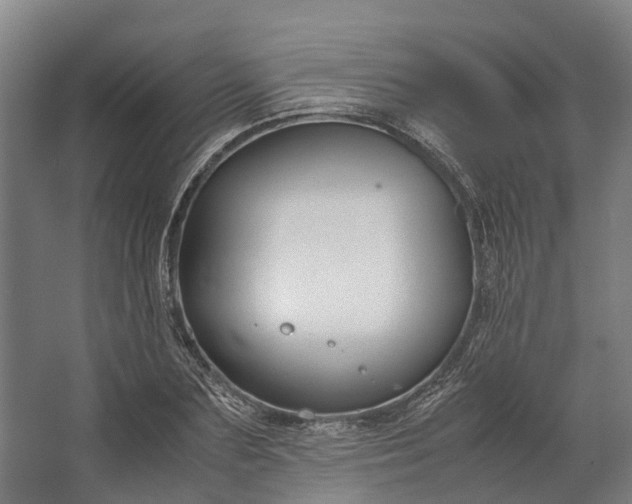 X0000062620883200601041002