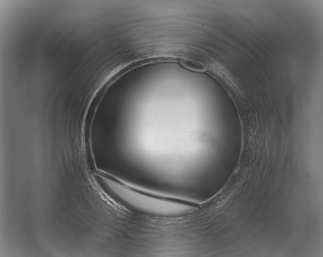 X0000062620884200601041002