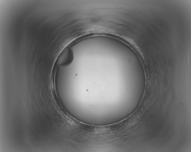 X0000062620887200601041002