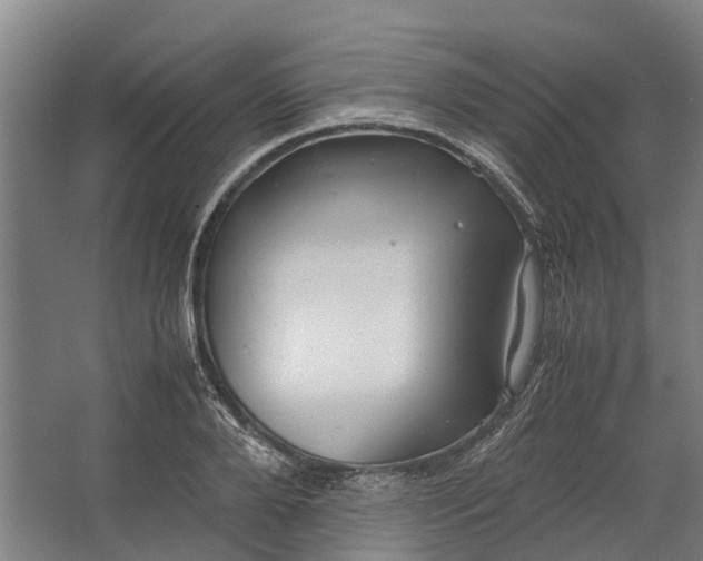 X0000062620888200601041002