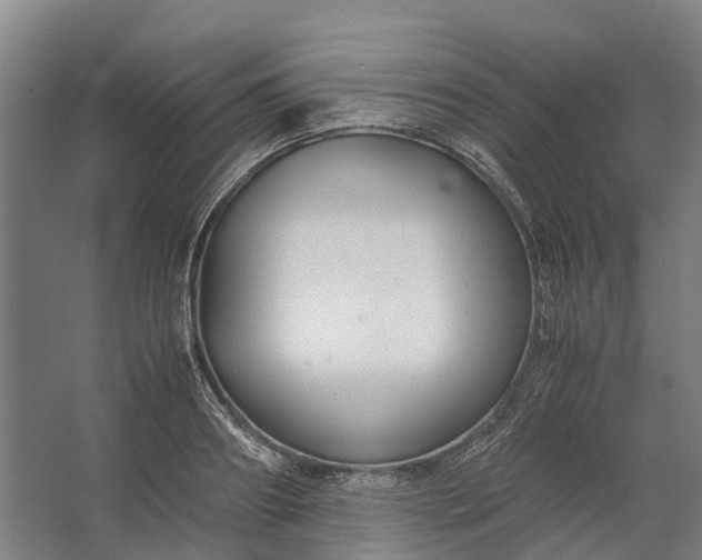 X0000062620890200601041002