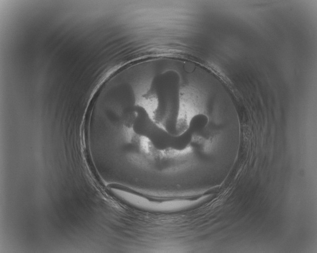 X0000062620891200601041002