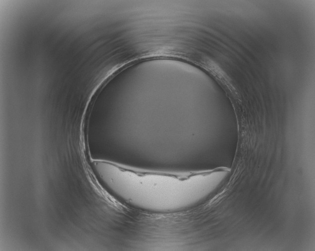 X0000062620892200601041002