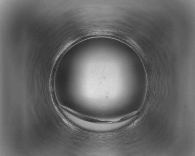 X0000062620893200601041002