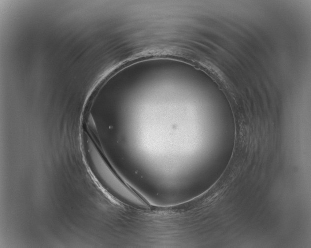 X0000062620894200601041002