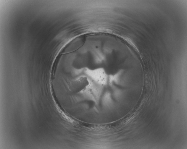 X0000062620895200601041002