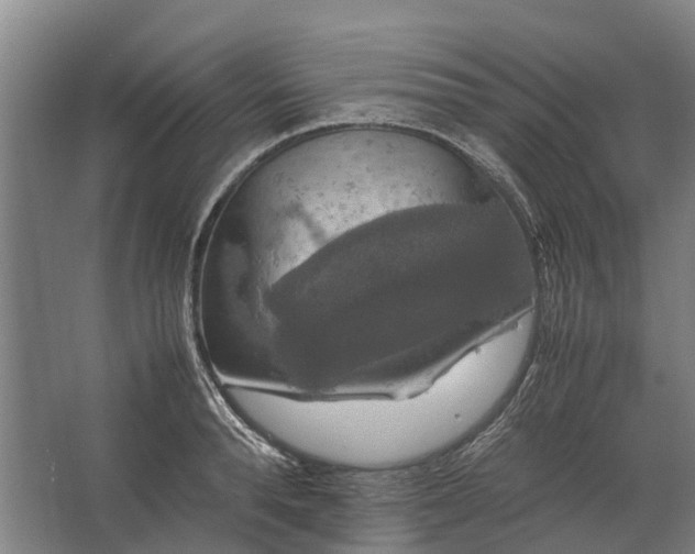 X0000062620896200601041002