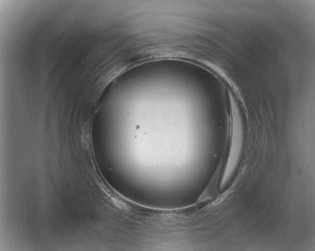 X0000062620897200601041002