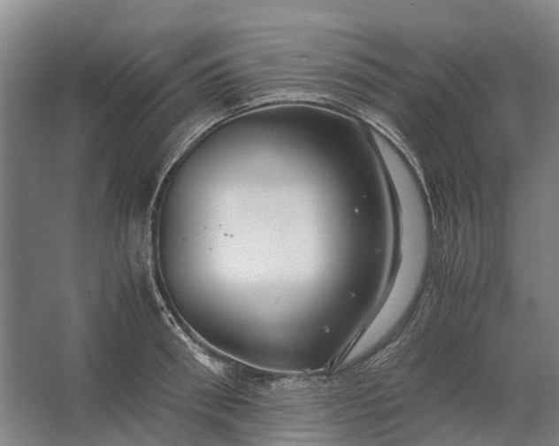 X0000062620898200601041002