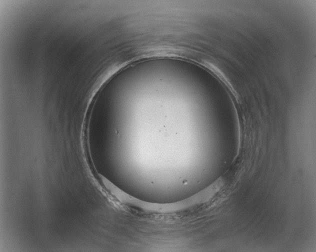 X0000062620901200601041002