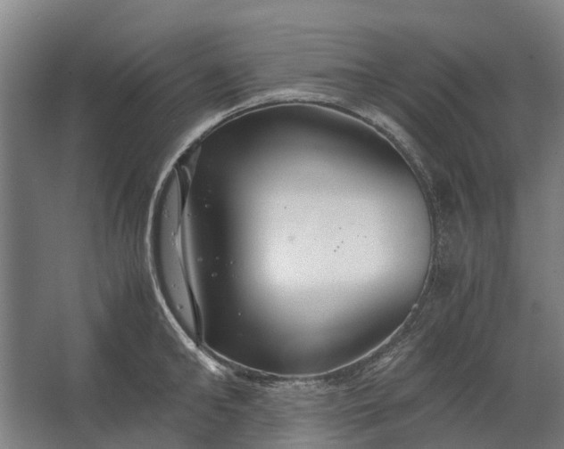 X0000062620902200601041002