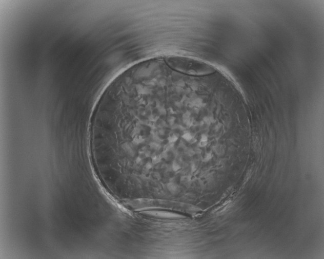 X0000062620903200601041002