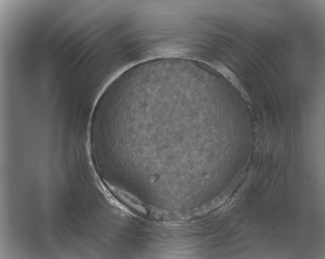 X0000062620904200601041002