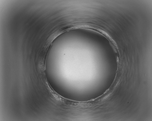 X0000062620905200601041002