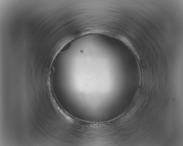 X0000062620906200601041002