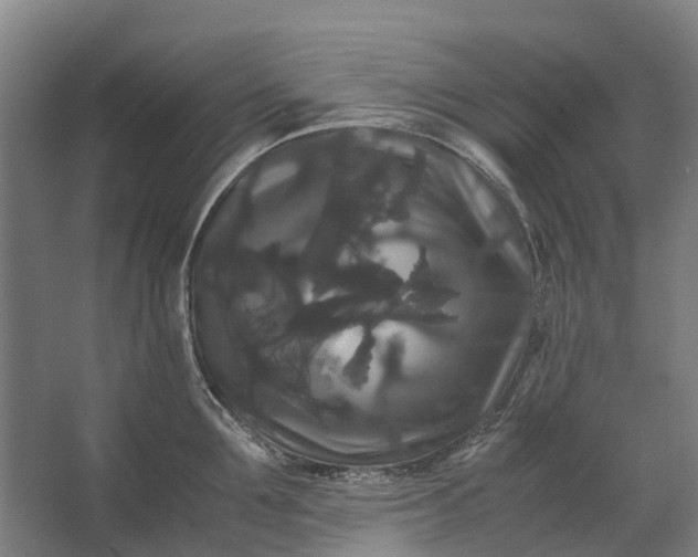 X0000062620907200601041002