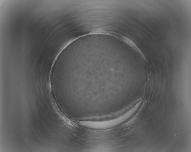 X0000062620908200601041002