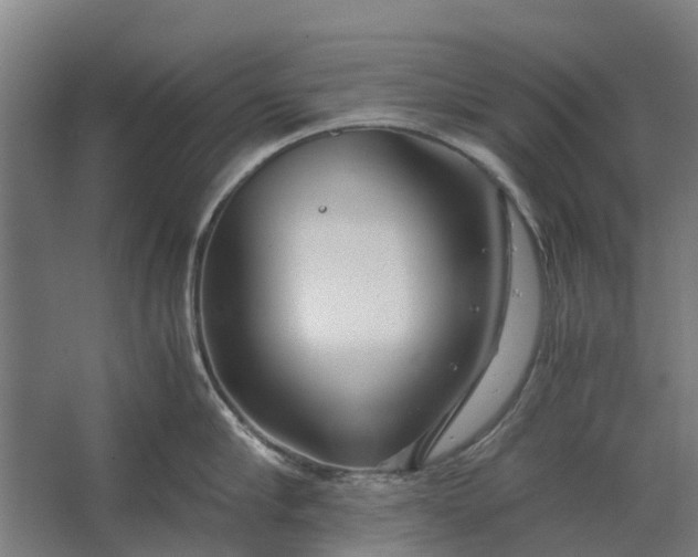 X0000062620910200601041002