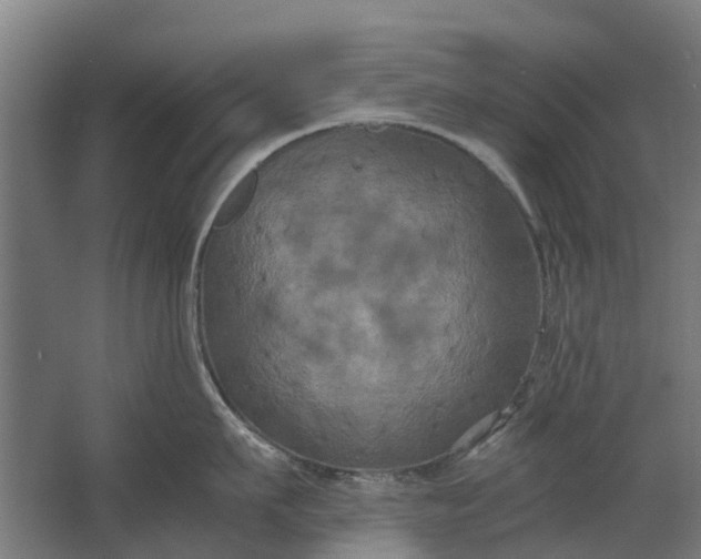 X0000062620911200601041002