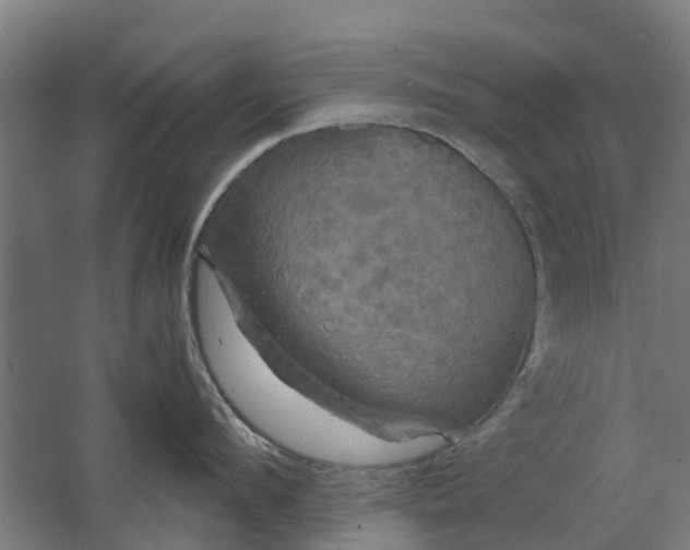 X0000062620912200601041002