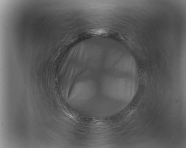 X0000062620913200601041001