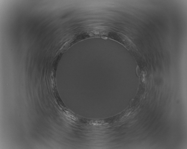 X0000062620915200601041001